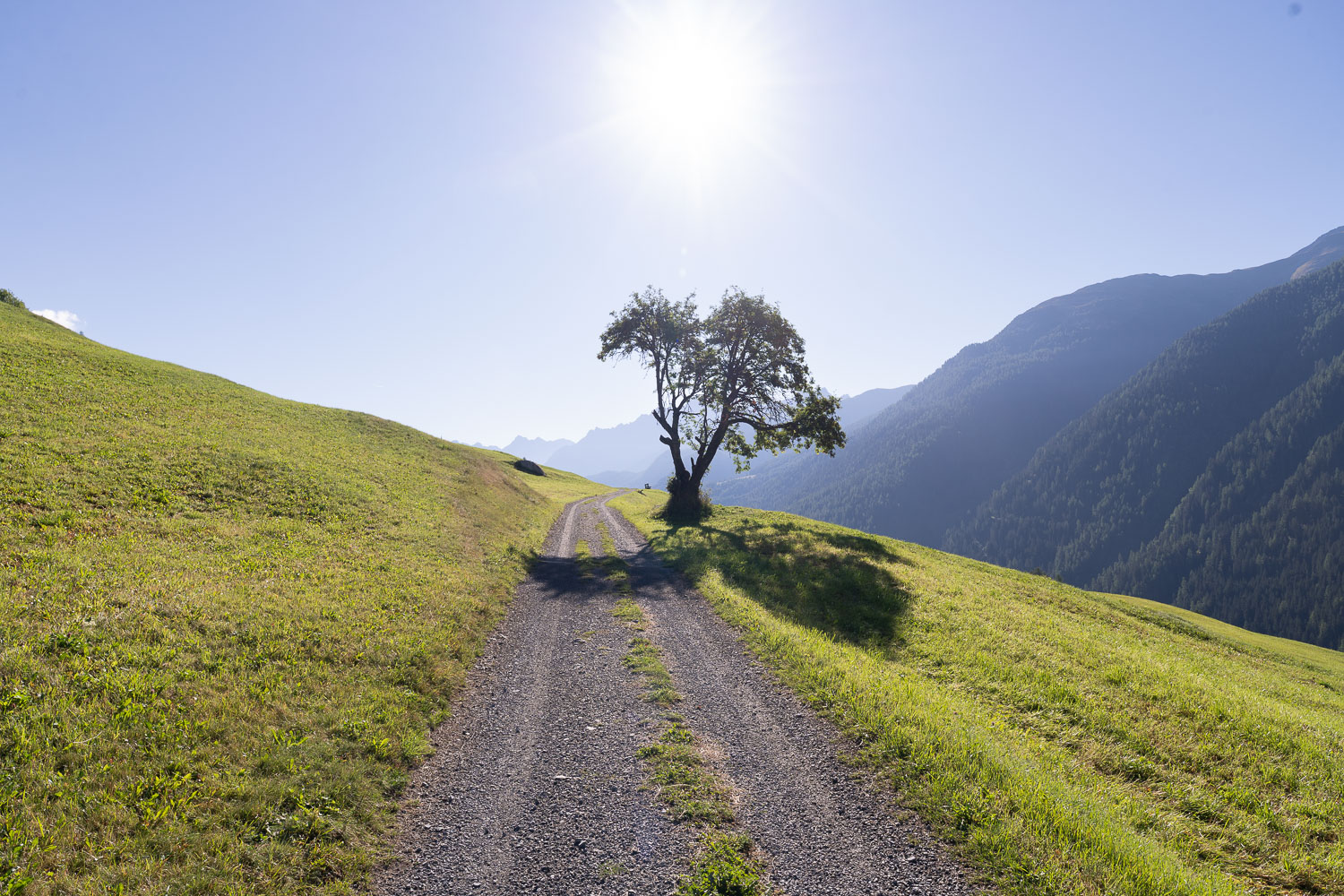 Tag 6 - 1. September 2026 – Engadin Foto 4